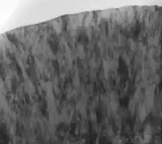 SEM cross-section of BALINIT ALTENSA TiAlSiN advanced coating on a carbide gear hob substrate